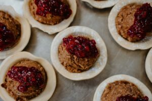 venison-cranberry-pie